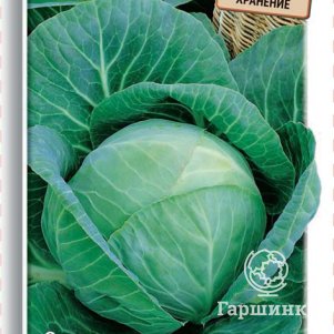 Капуста Белорусская 455 белокочанная 0,5 г, Семена Поиск