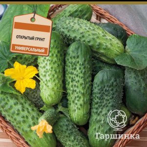 Огурец Вероника F1 (А) 12, Семена Поиск