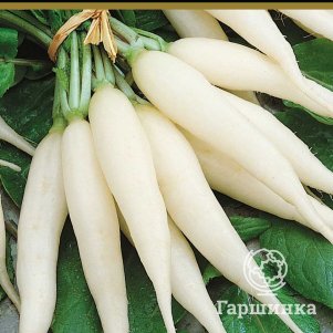 Редис Белый клык (А) 3г, Семена Поиск