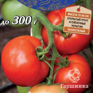 Томат Ловкий F1 (А) 10, Семена Поиск