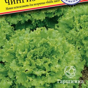 Салат Чингиз 10 шт, Семена Престиж