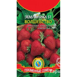 Земляника Волшебство S1 10 шт Плазменные семена 69₽