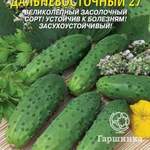 Огурец Дальневосточный 27 12 шт, Плазменные семена