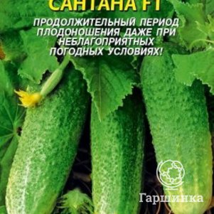 Огурец Сантана F1  10 шт, Плазменные семена