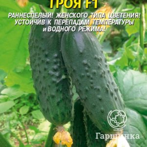 Огурец Троя F1 7 шт, Плазменные семена