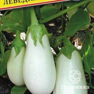 Баклажан Лебединый 5 шт, белый, Семена Престиж
