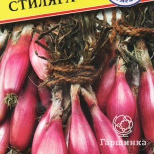 Лук шалот Стиляга (РС-1) 0,5 г, Семена Престиж