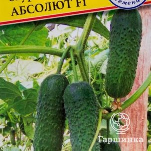 Огурец Абсолют F1 5 шт, Семена Престиж