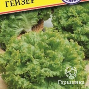 Салат Гейзер листовой (РС-1) 10 шт, Семена Престиж