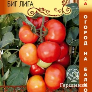 Томат Биг Лига F1 5 шт, Плазменные семена
