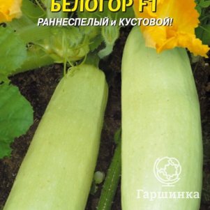 Кабачок Белогор F1 8 шт Плазменные семена 29₽
