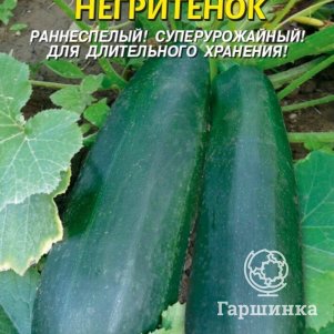 Кабачок цуккини Негритенок 10 шт Плазменные семена 29₽