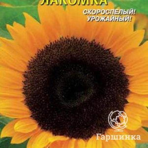 Подсолнечник Лакомка 5 г Плазменные семена 29₽