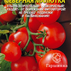 Томат Северная малютка 25 шт, Плазменные семена