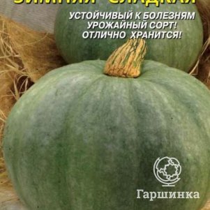 Тыква Зимняя сладкая 2 г Плазменные семена 29₽