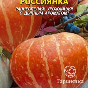 Тыква Россиянка 2 г Плазменные семена 29₽