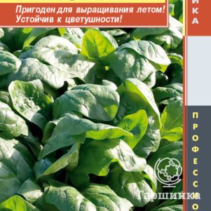 Шпинат Рембор F1 100 шт Плазменные семена 39₽