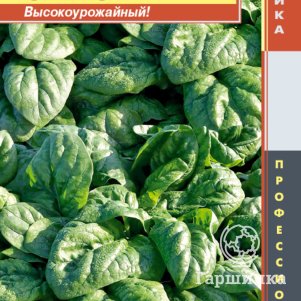 Шпинат Спейс F1 100 шт Плазменные семена 39₽