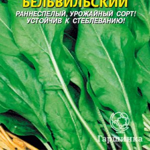 Щавель Бельвильский 05 г Плазменные семена 29₽