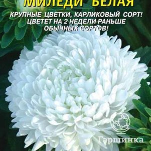 Астра Миледи Белая 0,1 г, Плазменные семена