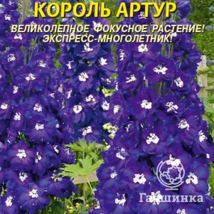 Дельфиниум Король Артур 0,05 г, Плазменные семена