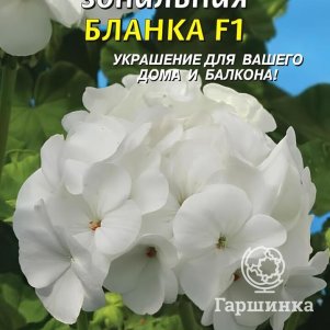 Пеларгония Бланка F1 зональная 3 шт, Плазменные семена