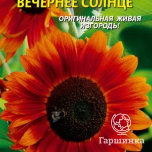 Подсолнечник Вечернее солнце 10 шт Плазменные семена 29₽