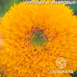 Подсолнечник Золотое солнце 10 шт Плазменные семена 29₽