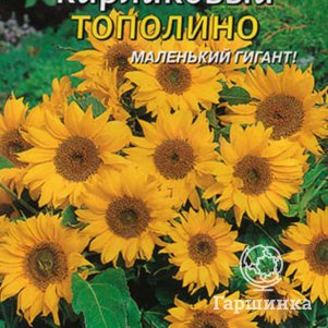 Подсолнечник Тополино карликовый 8 шт Плазменные семена 39₽