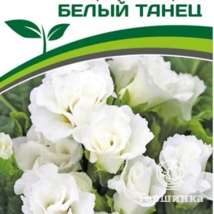 Примула Белый Танец F1 махровая (Тет-А-Тет) 5 шт. Семена Партнер