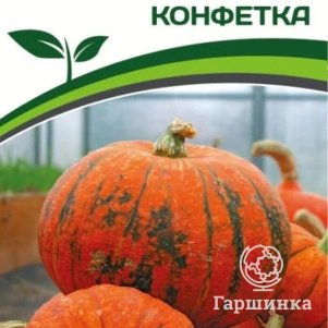 Тыква Конфетка 5 шт Семена Партнер 99₽