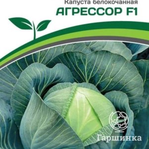 Капуста Агрессор F1 белокочанная среднепоздняя 10 шт, Семена Партнер