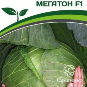 Капуста Мегатон F1 белокочанная среднепоздняя 10 шт. Семена Партнер