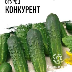 Огурец Конкурент 0,3 г б/п Уд. с. Семена Гавриш