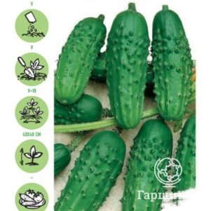 Огурец Ласточка F1 10 шт. Уд. с. ЦП Семена Гавриш